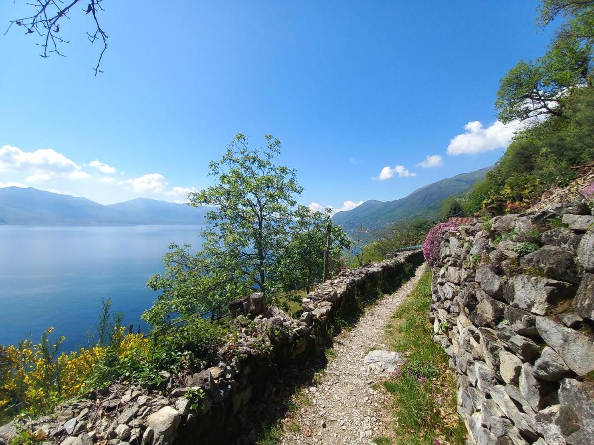 Antica Casa Al Lago Оджеббио Экстерьер фото